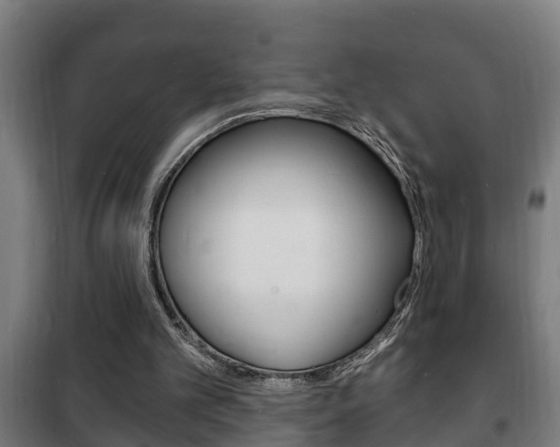 X0000102220101200807250755