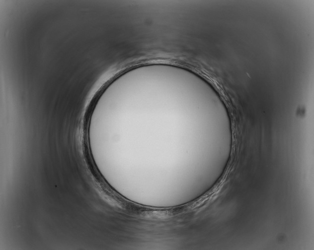 X0000102220102200807250755