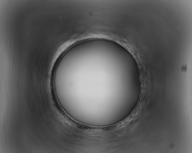X0000102220104200807250755