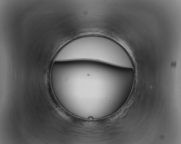 X0000102220105200807250755