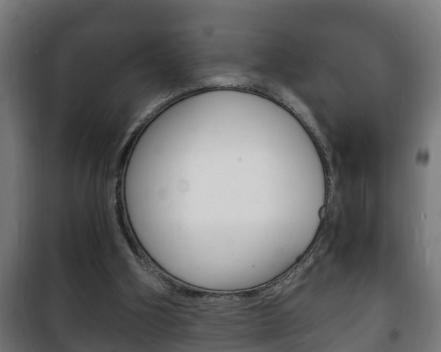 X0000102220106200807250755