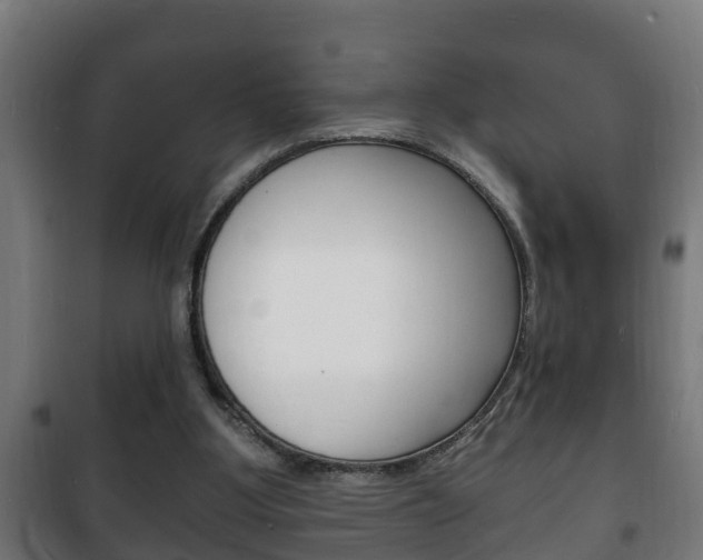 X0000102220107200807250755