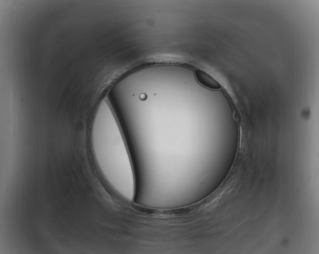 X0000102220109200807250755