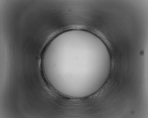 X0000102220110200807250755