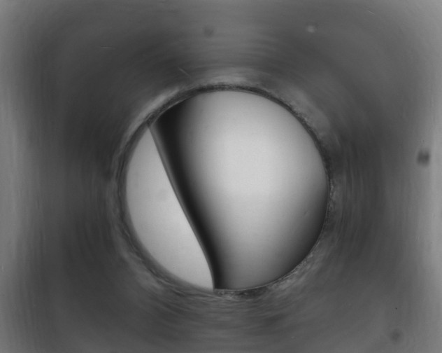 X0000102220112200807250755