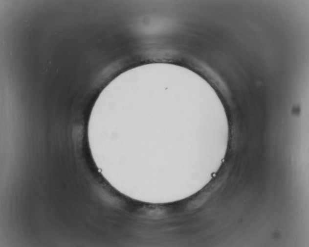 X0000102220113200807250755