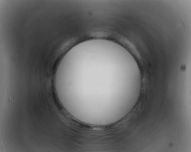 X0000102220114200807250755