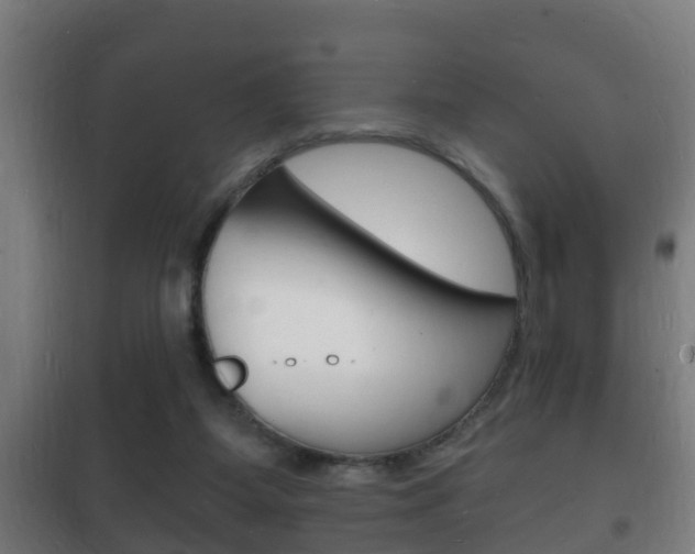 X0000102220115200807250755