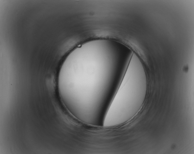 X0000102220116200807250755