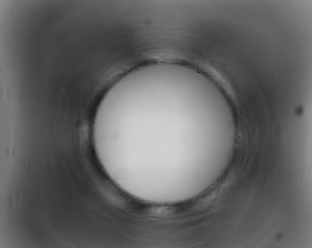 X0000102220117200807250755
