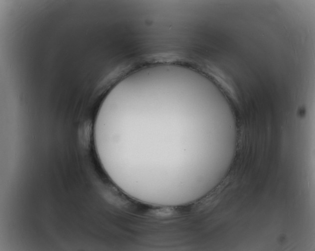 X0000102220118200807250755