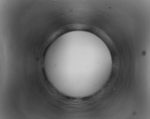 X0000102220119200807250755