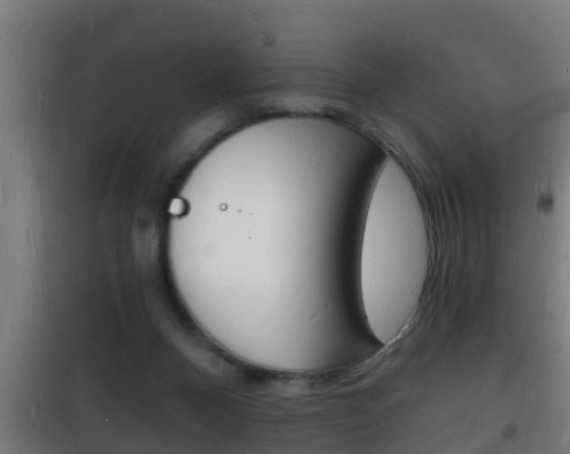 X0000102220120200807250755