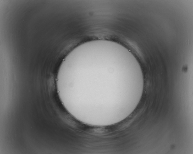 X0000102220121200807250755