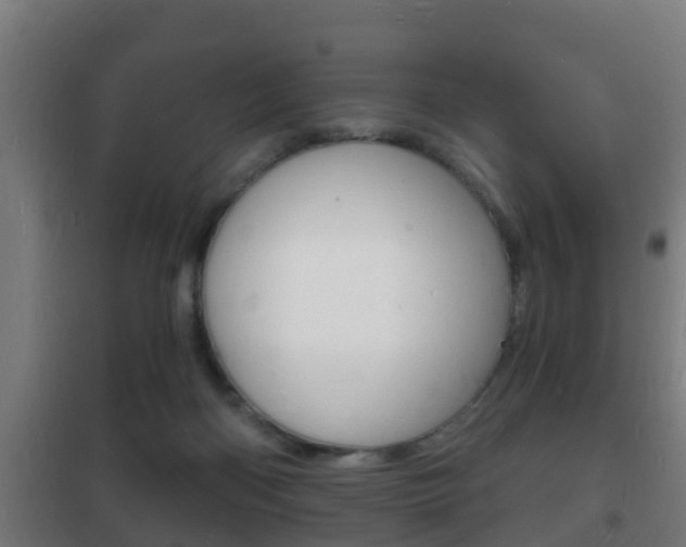 X0000102220122200807250755