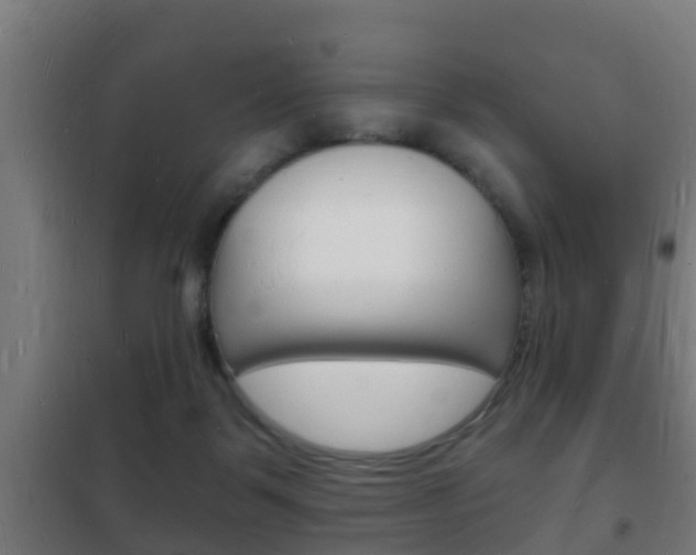 X0000102220123200807250755
