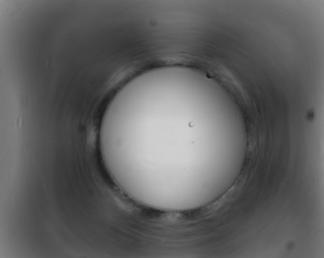 X0000102220124200807250755