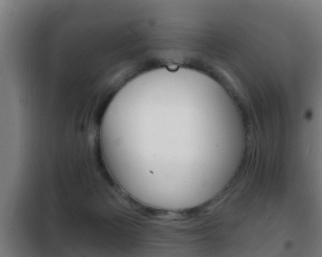 X0000102220125200807250755