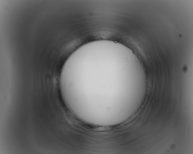 X0000102220126200807250755