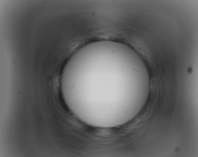X0000102220127200807250754