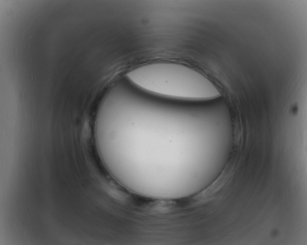 X0000102220128200807250754