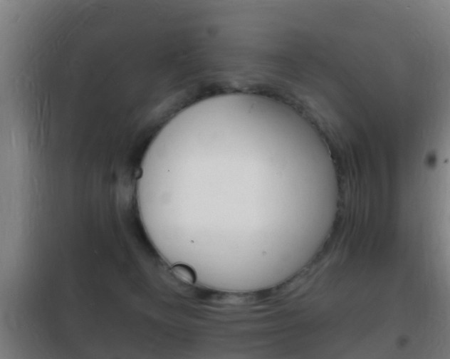 X0000102220129200807250754