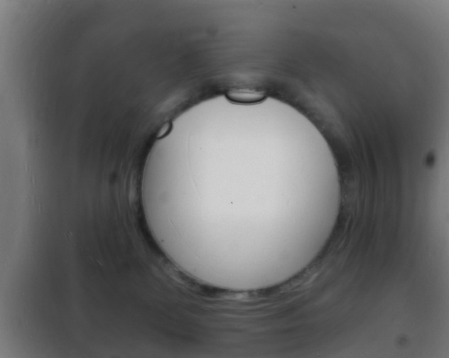 X0000102220131200807250754