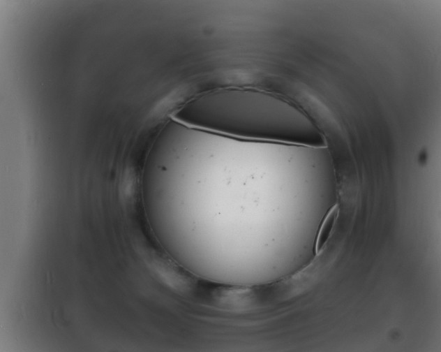 X0000102220132200807250754