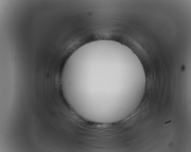 X0000102220134200807250754