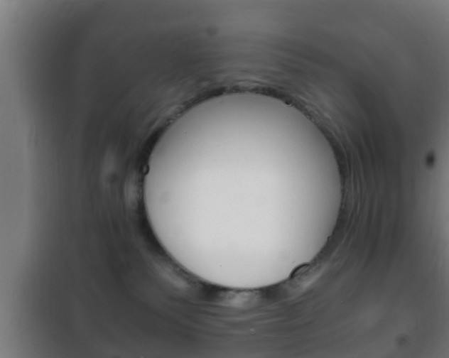 X0000102220135200807250754