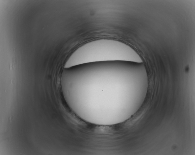 X0000102220137200807250754