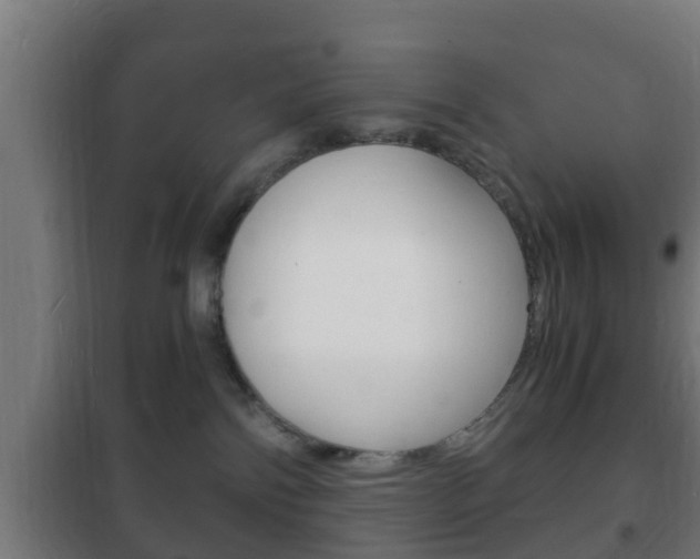 X0000102220138200807250754