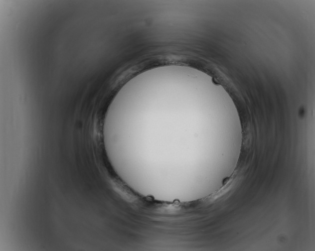 X0000102220140200807250754