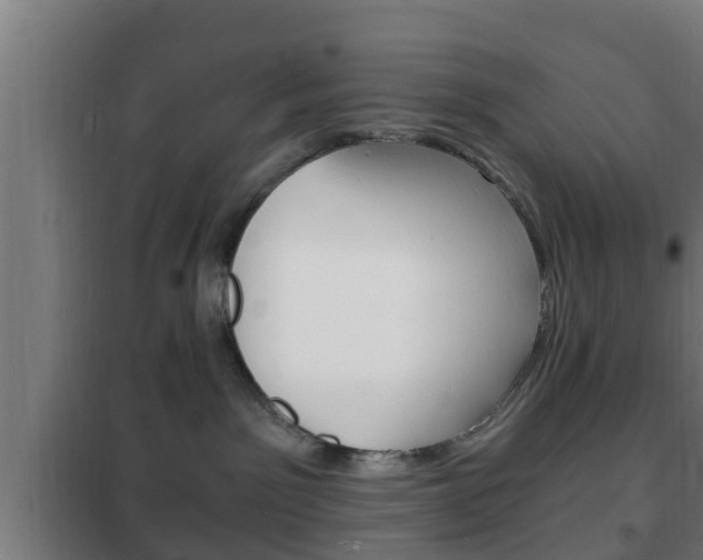 X0000102220141200807250754