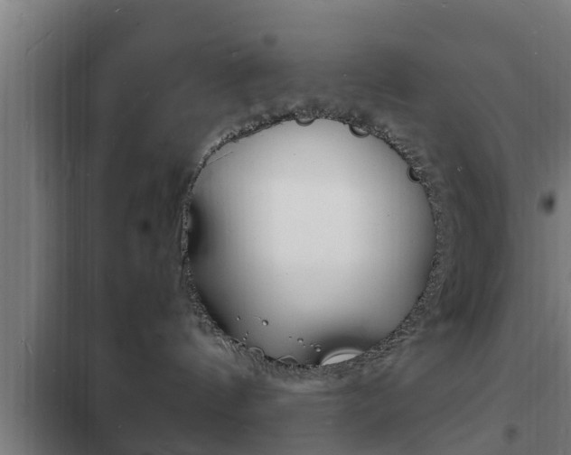 X0000102220144200807250754