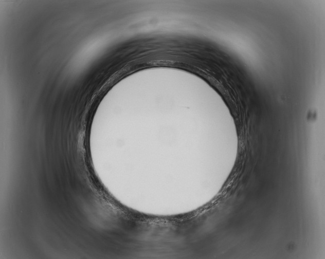 X0000102220146200807250754