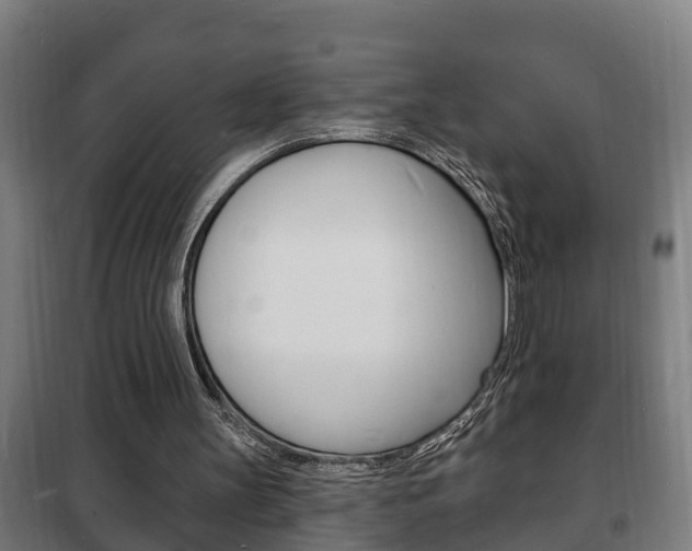 X0000102220147200807250754