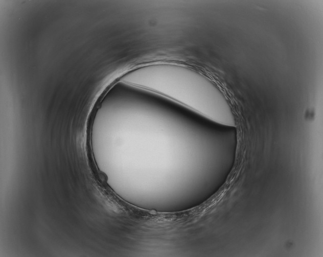 X0000102220148200807250754
