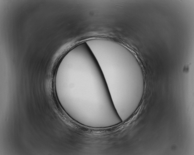 X0000102220149200807250754
