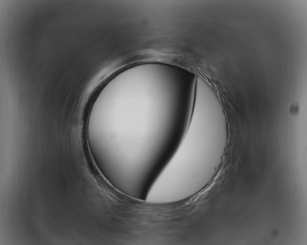 X0000102220150200807250754