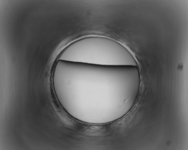 X0000102220151200807250754