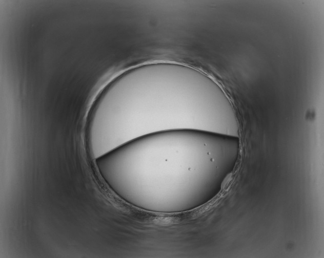 X0000102220152200807250754