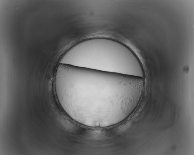 X0000102220153200807250754