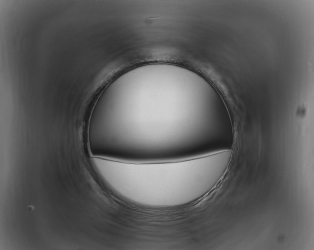 X0000102220154200807250754