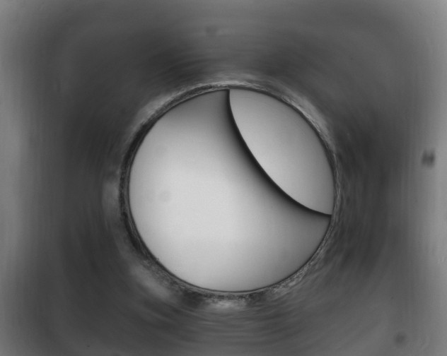 X0000102220155200807250754