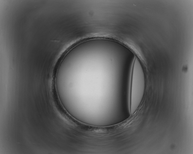 X0000102220156200807250754