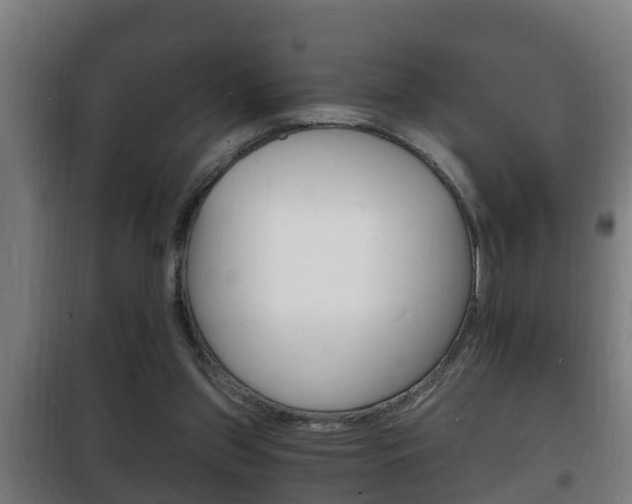X0000102220157200807250754
