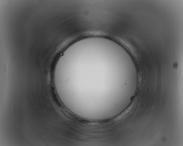X0000102220158200807250754