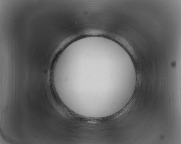 X0000102220159200807250754