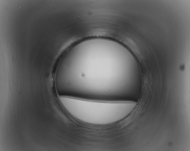 X0000102220160200807250754